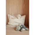 Load image into Gallery viewer, LIEWOOD - Berto & Baby Turtle Teddy - Faune Green
